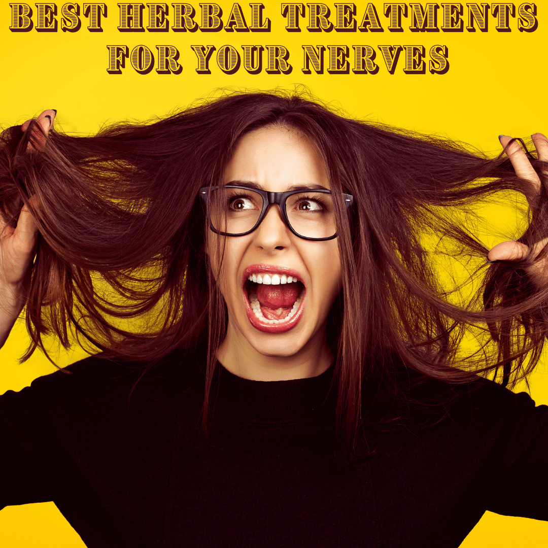 Best Herbal Treatments for Your Nerves