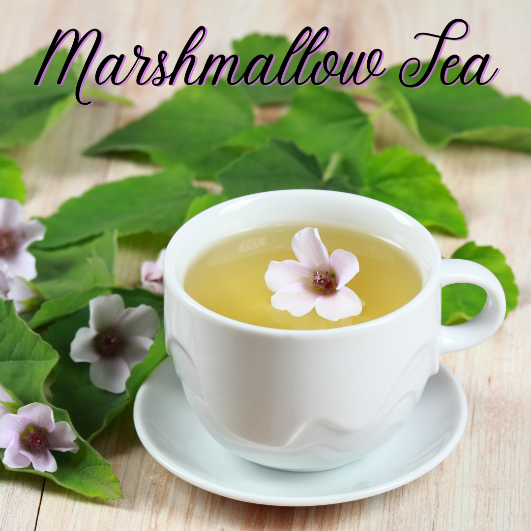 Marshmallow Root Tea