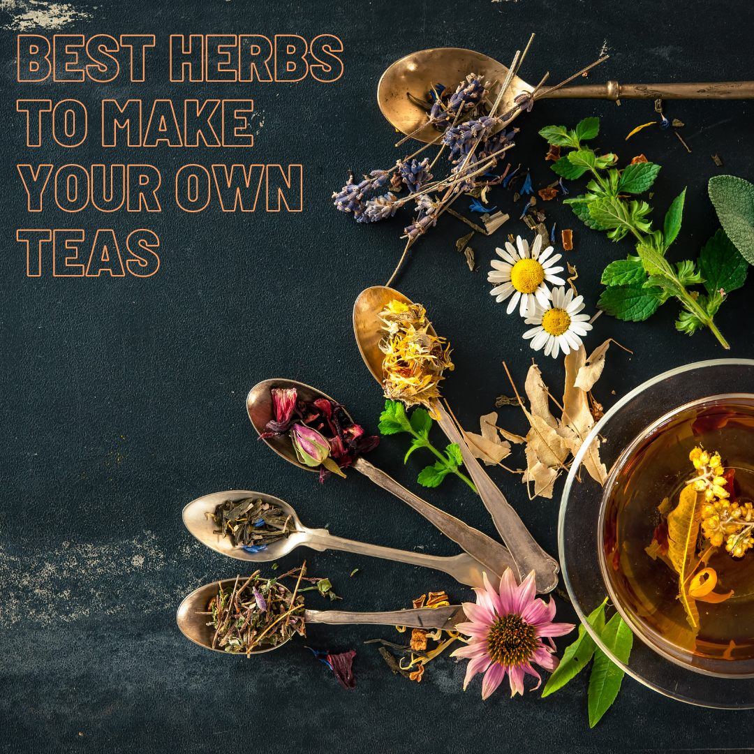 Best Herbs to Make Your Own Teas