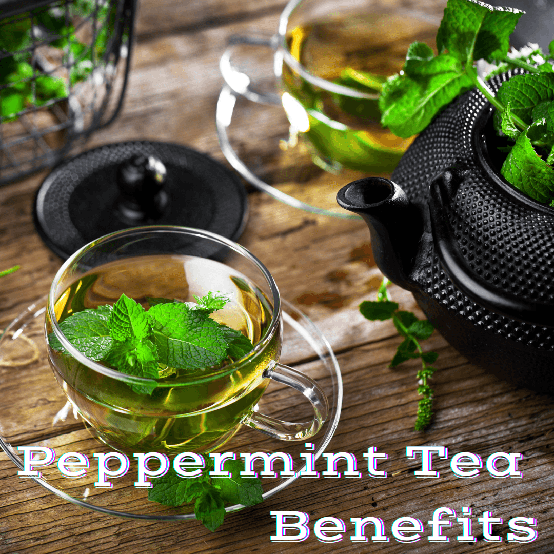 Peppermint Tea Benefits - My Life Tea