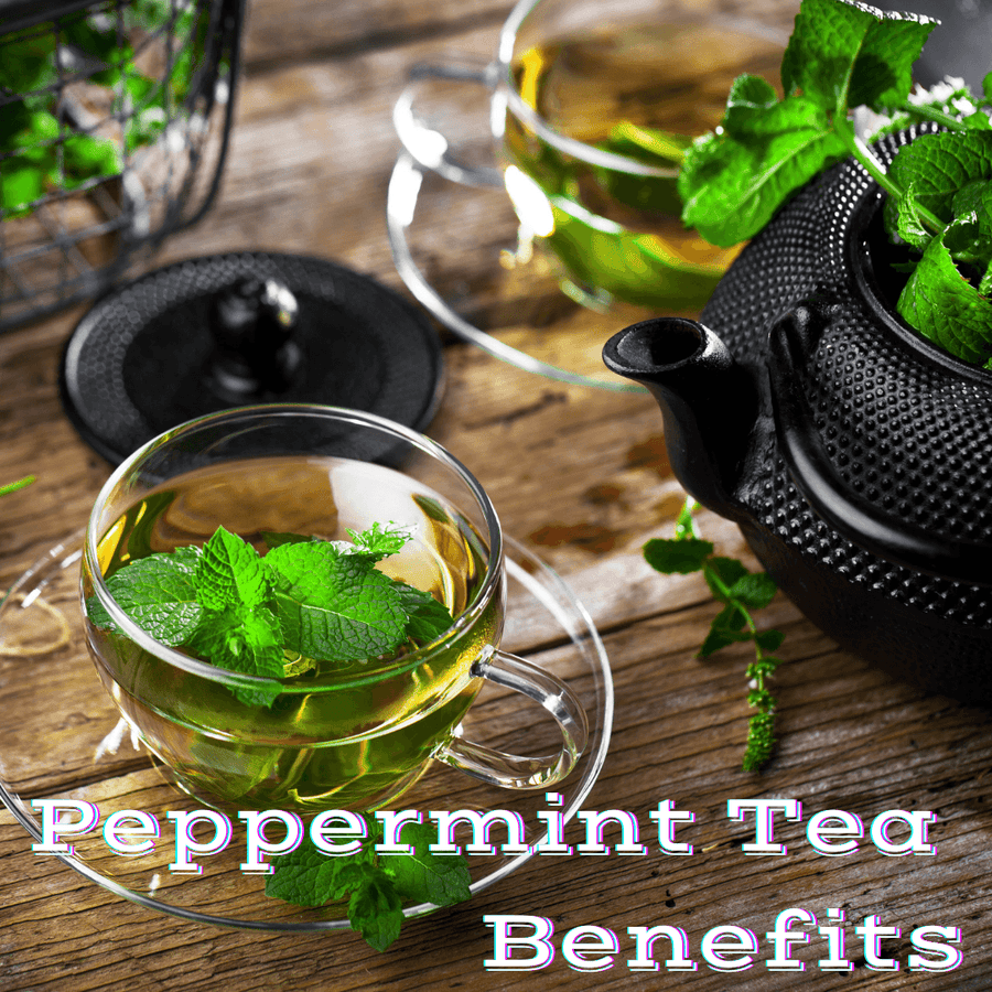 Peppermint Tea Benefits - My Life Tea