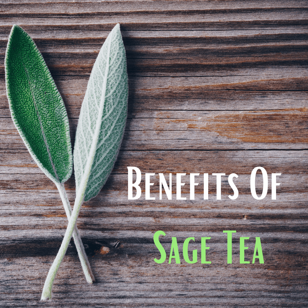 Benefit Of Sage Tea - My Life Tea