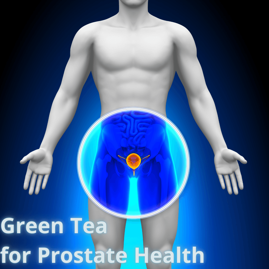 Green Tea for Prostate Health - My Life Tea