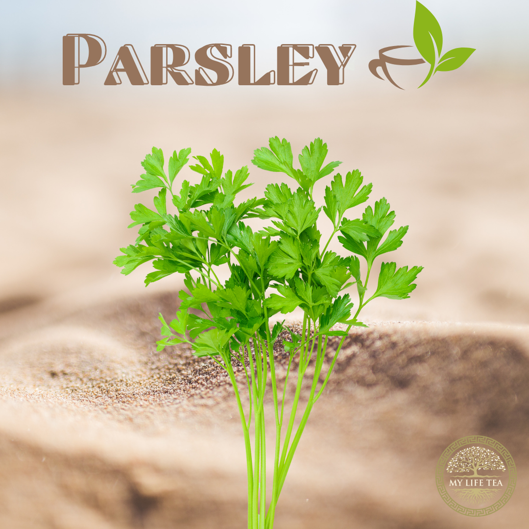 Parsley Tea Benefits