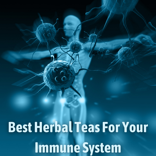 Best Herbal Teas For Your Immune System - My Life Tea