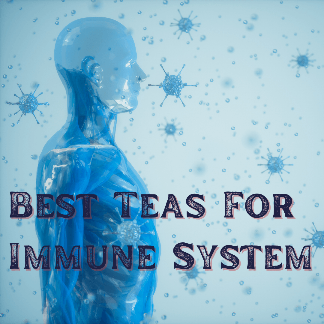 Best Teas For Immune System - My Life Tea