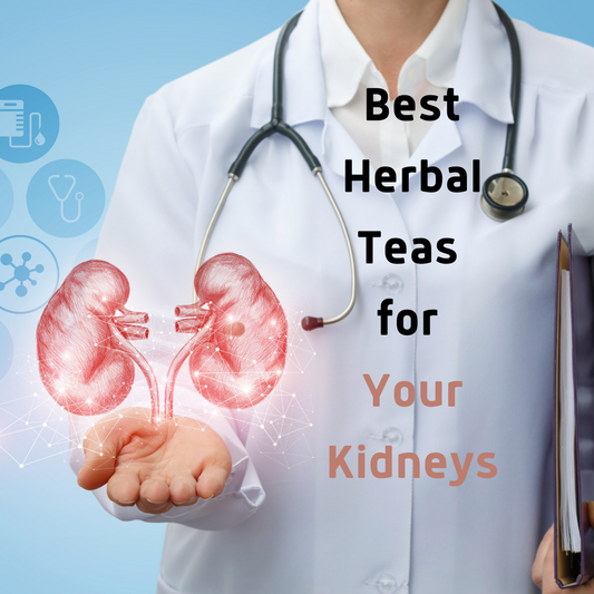 Best Herbal Teas for Your Kidneys - My Life Tea