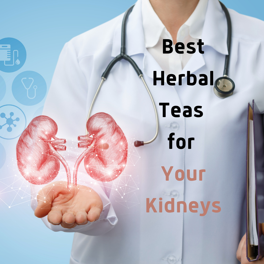 Best Herbal Teas for Your Kidneys