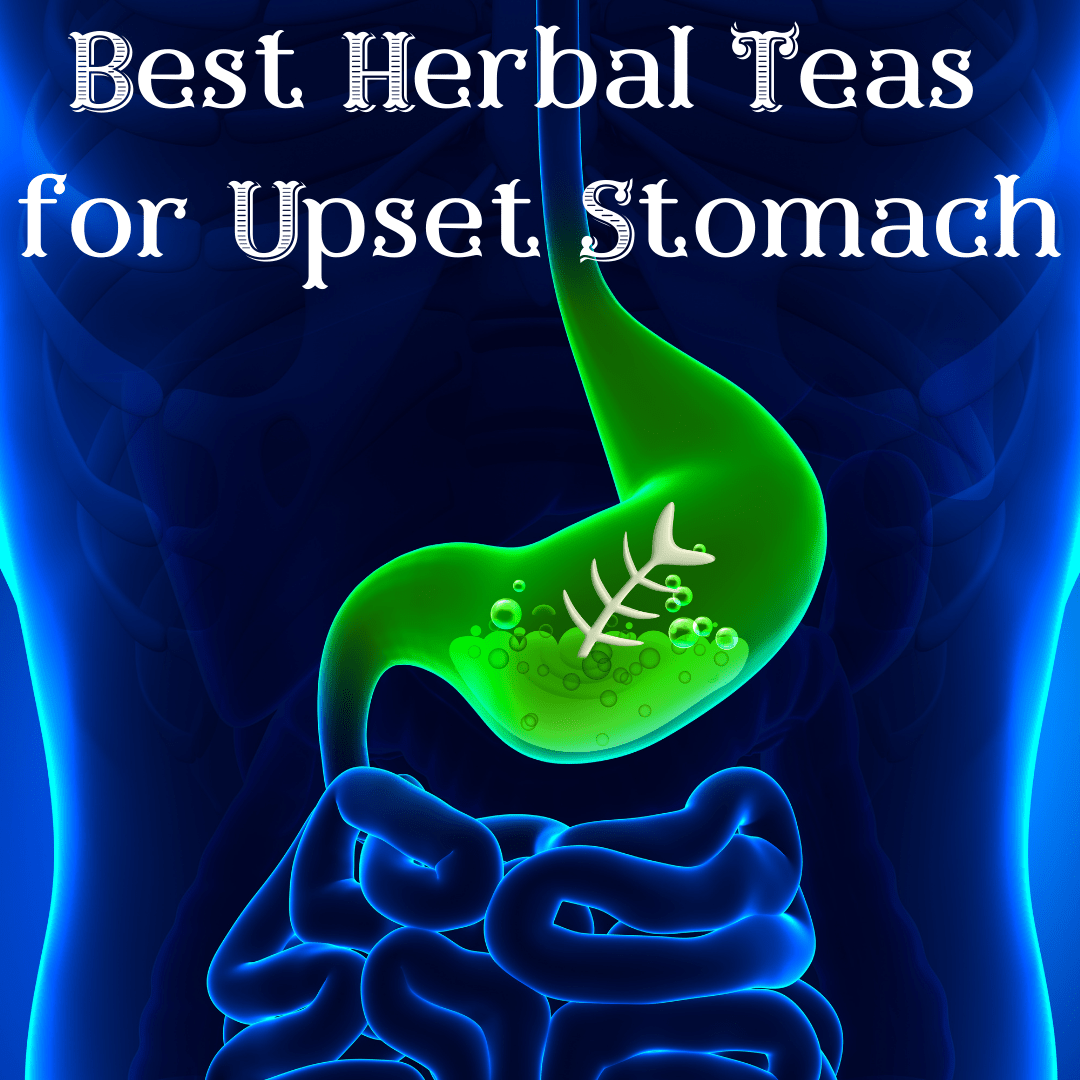 Best Herbal Teas for Upset Stomach