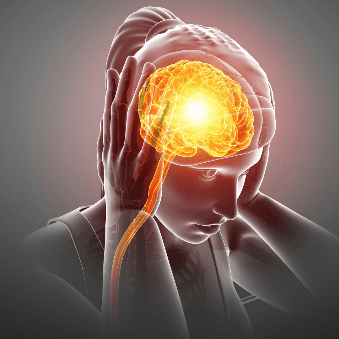 Best Herbal Teas for Migraines - My Life Tea