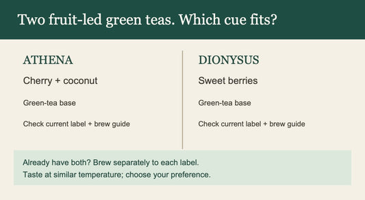 Side-by-side decision chart for Athena cherry and coconut green tea and Dionysus sweet berries green tea