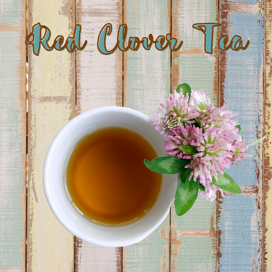 What is Red Clover Tea and What Can it Do For You? - My Life Tea