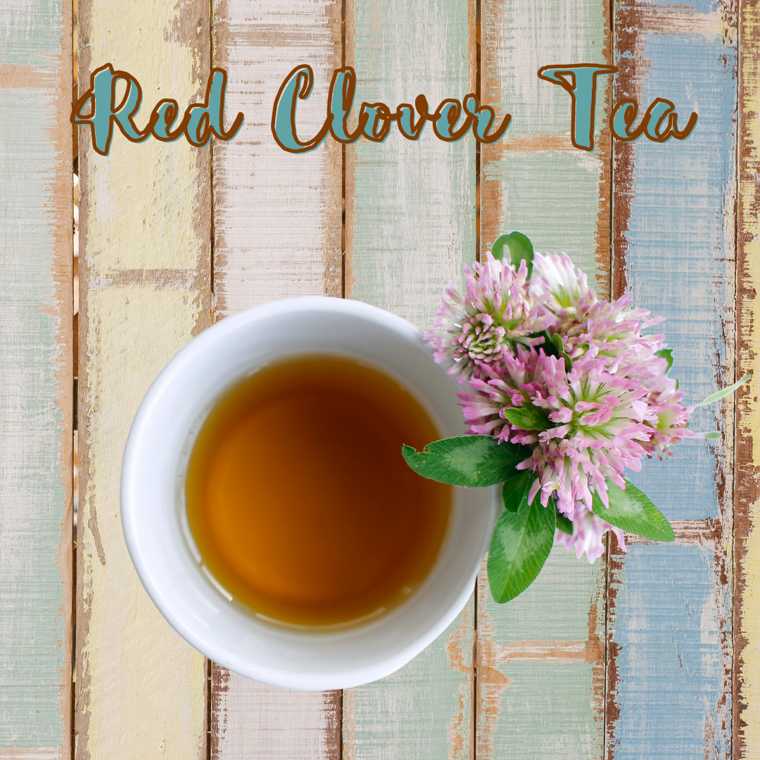 What is Red Clover Tea and What Can it Do For You?