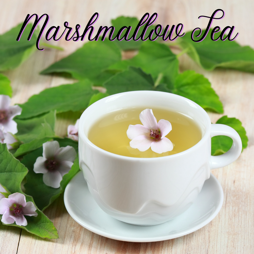 What is Marshmallow Tea and What Can it Do For You? - My Life Tea