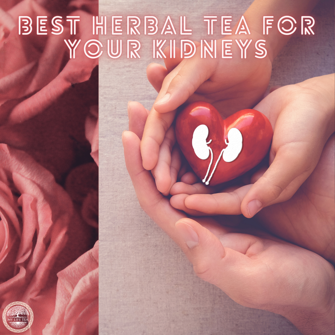 Best Herbal Tea for Your Kidneys - My Life Tea