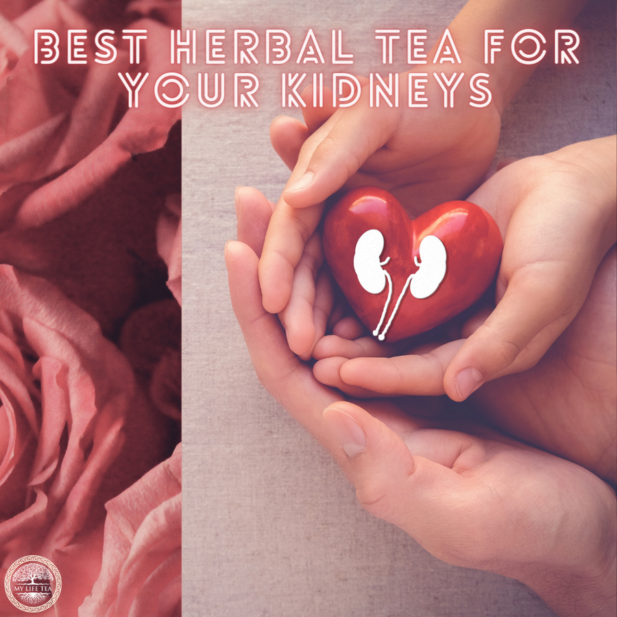Best Herbal Tea for Your Kidneys - My Life Tea