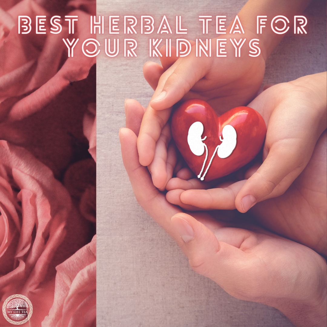 Best Herbal Tea for Your Kidneys