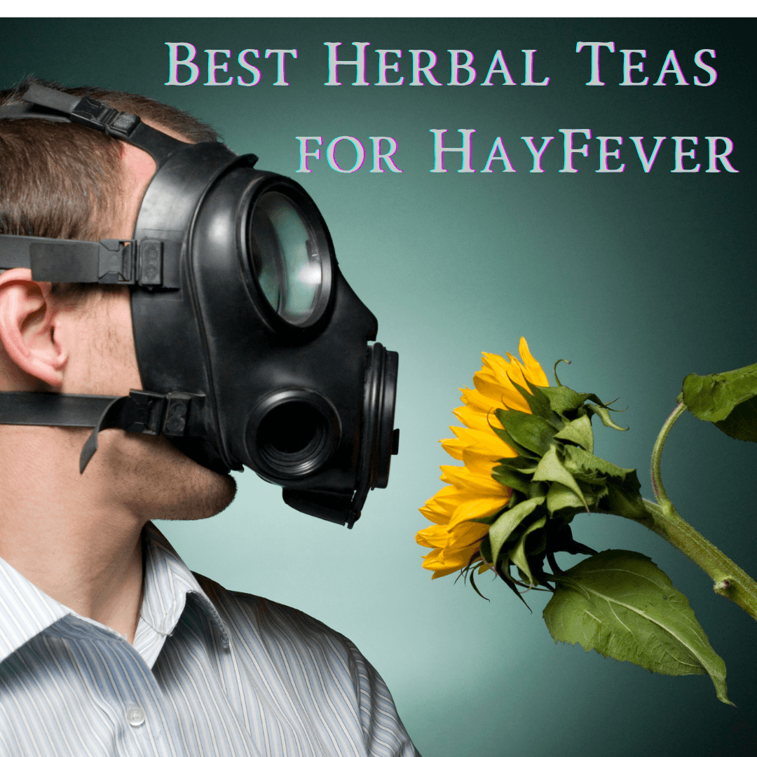 Best Herbal Teas for Hay Fever - My Life Tea