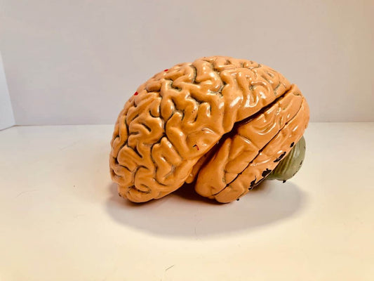 Herbal Tea Brain Health