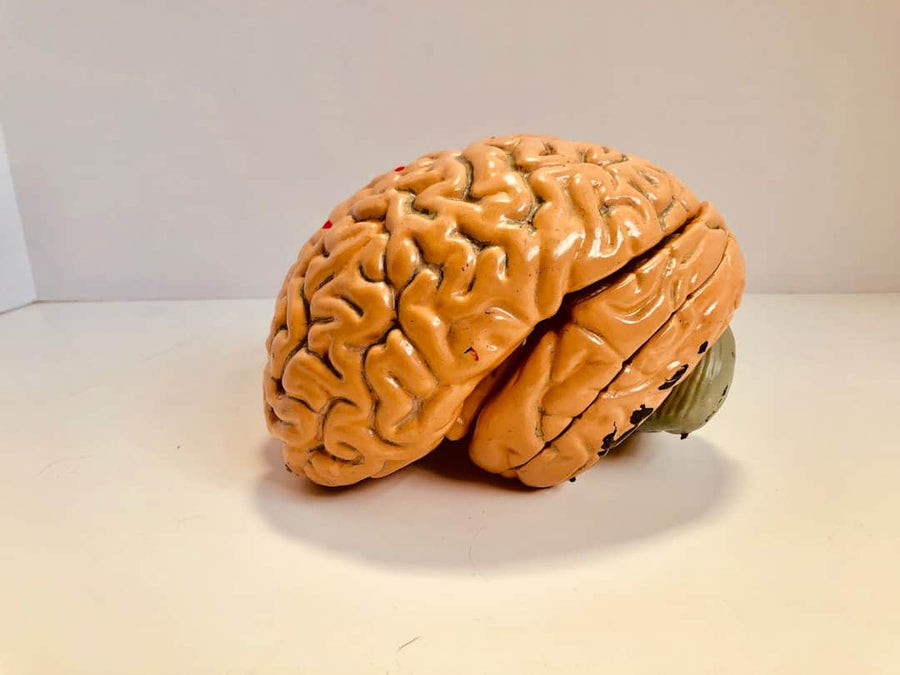 Herbal Tea Brain Health