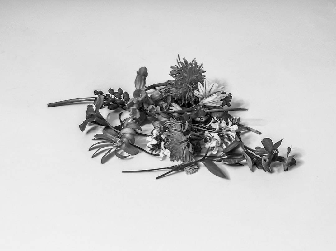 Herbal Teas Stress Relief