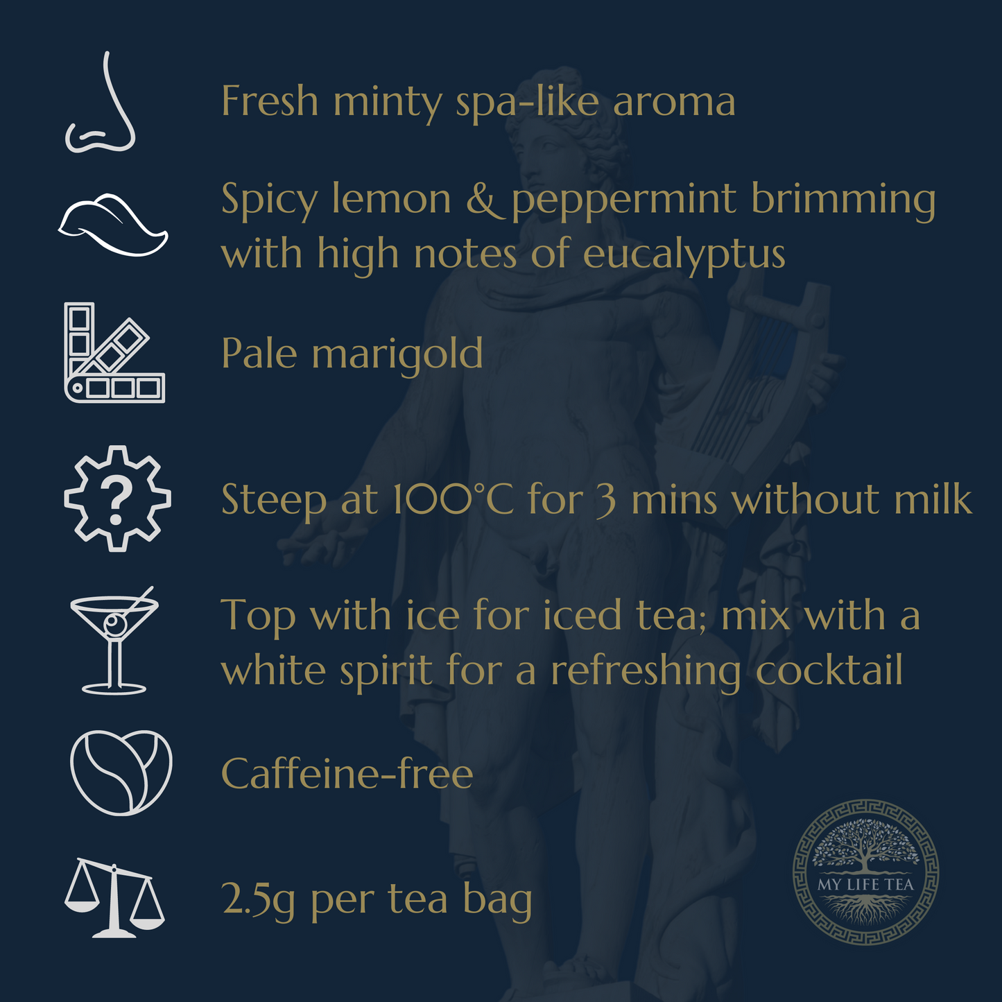 Apollo: God Of Music & Harmony | Ginger, Lemon & Eucalyptus Tea - My Life Tea