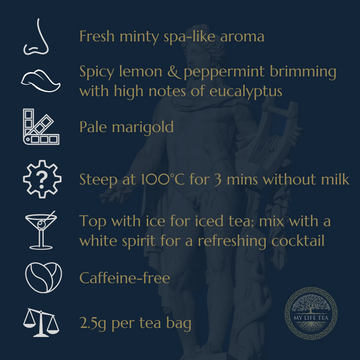 Apollo: God Of Music & Harmony | Ginger, Lemon & Eucalyptus Tea - My Life Tea